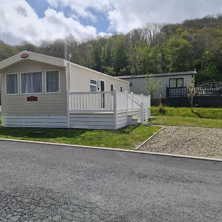 Llanina The Tiddler - Plot 101, Woodlands Lodge Retreat, New Quay, West Wales מראה חיצוני תמונה